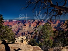 ARIZONA The Grand Canyon
